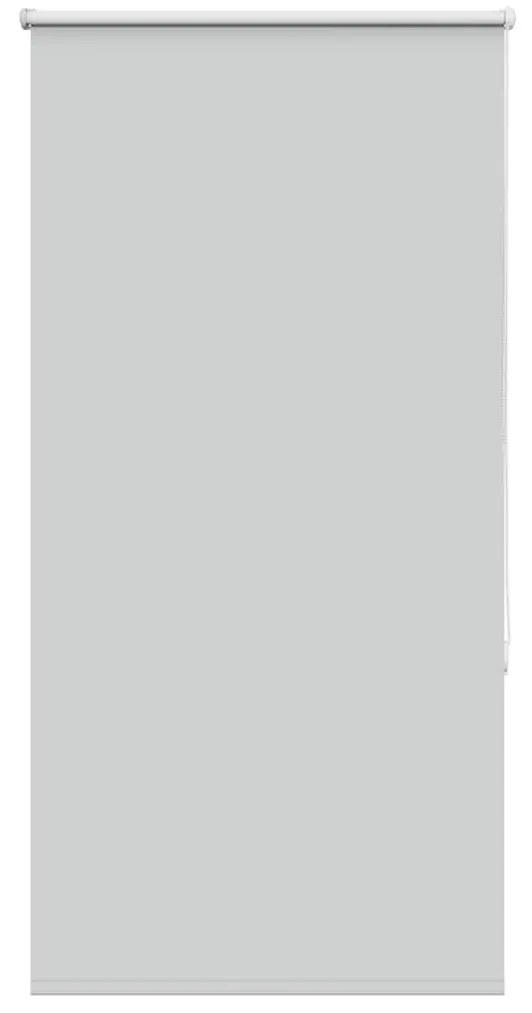 vidaXL Ρολέρ Μπλακάουτ ανοιχτό γκρι 75x175 cm Πλάτος υφάσματος 70,7cm