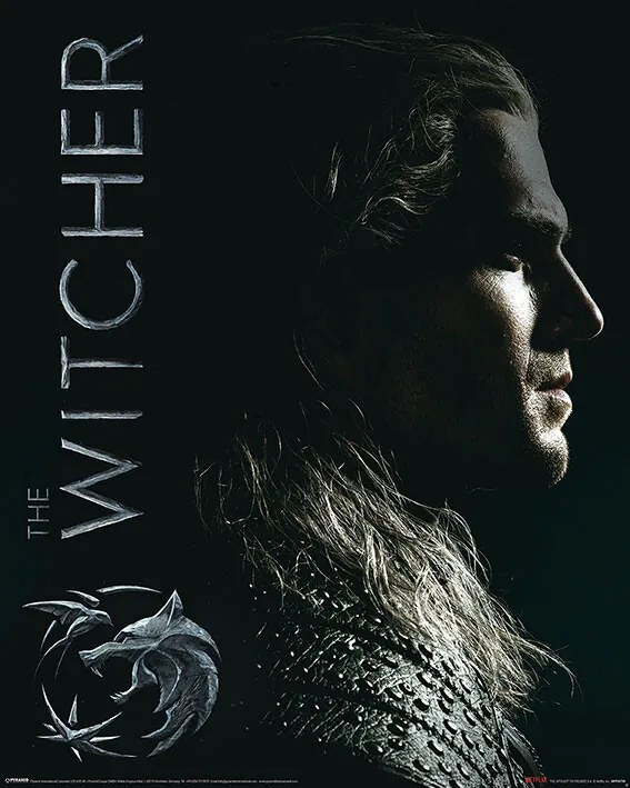 Αφίσα The Witcher - Shadows Embrace