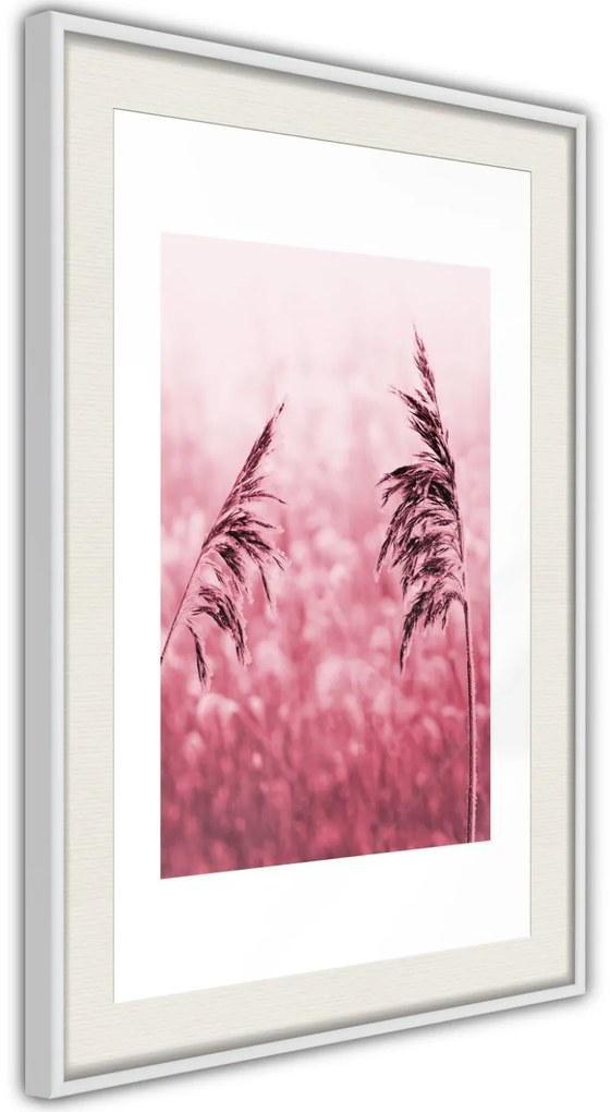 Αφίσα - Amaranth Meadow - 20x30 - Χρυσό - Χωρίς πασπαρτού