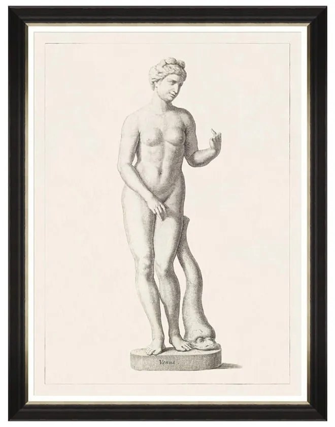 Κάδρο Greek Godess And Gods - Venus FA13116 60X80 MindTheGap Κάθετοι Wood