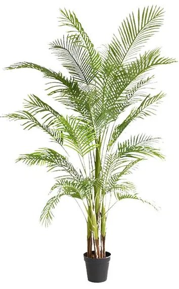 PALM TREE  NP5501_210_22  ΥΨΟΣ 210cm NewPlan