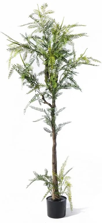 Supergreens Τεχνητό Δέντρο Φτέρη \&quot;Maidenhair\&quot; Πράσινο 160 εκ. - 1890-6