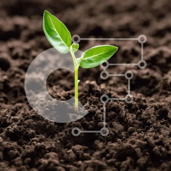 Intra Συλλεκτικό Ξύλινο Παζλ Plywood  4mm - Μικρό πράσινο φυτό που φυτρώνει από το έδαφος Σε Ξύλινο Κουτί - Διαστάσεις: 10x10 cm – 25 κομμάτια