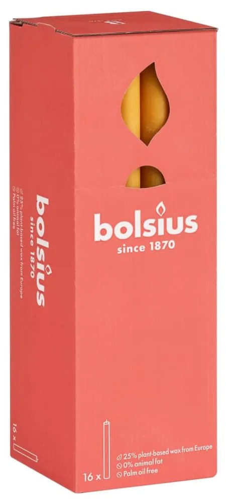 Bolsius Κεριά Επιτραπέζια Shine 16 τεμ. Κυψελωτό Κίτρινο 27 εκ.