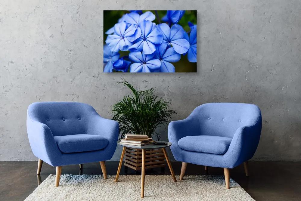Εικόνα με άγρια ​​μπλε λουλούδια - 90x60