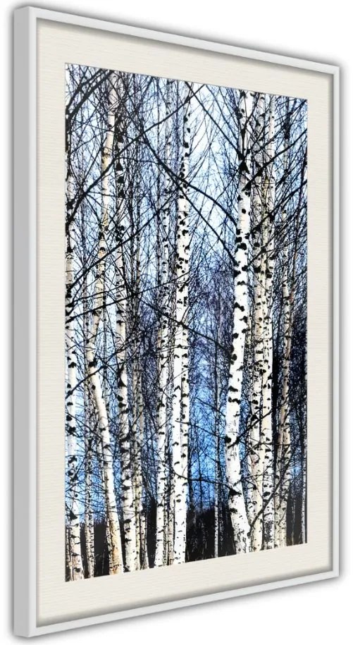 Αφίσα - Winter Birch Trees - 20x30 - Χρυσό - Χωρίς πασπαρτού