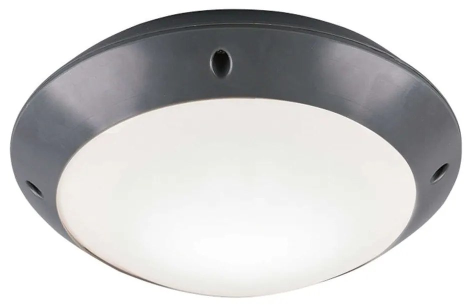 Φωτιστικό Οροφής - Πλαφονιέρα Camaro R60501042 26x8cm 1xE27 12W Anthracite-White RL Lighting Plastic