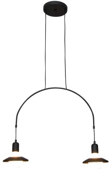 Κρεμαστό Φωτιστικό Οροφής 2xE27 G95 LED Μαύρο Everdina 77-3824 Homelighting-77-3824-Μαύρο 77-3824