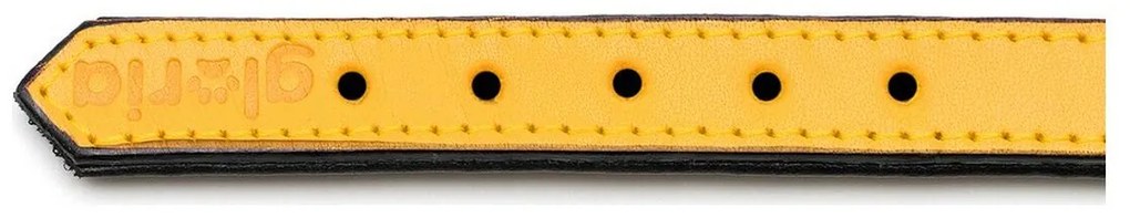 Κολλάρο Σκύλου Gloria Γεμισμένο Κίτρινο (45 x 2 cm)