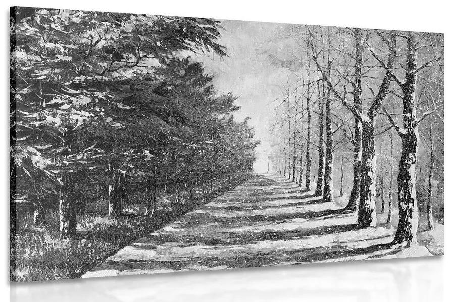 Εικόνα της φθινοπωρινής αλέας με δέντρα σε μαύρο & άσπρο - 120x80