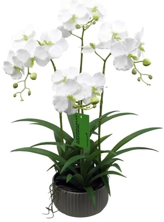 Supergreens Τεχνητό Φυτό Ορχιδέα Phalaenopsis Λευκό 60 εκ.
