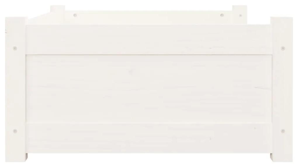 vidaXL Κρεβάτι Σκύλου άσπρο 75,5x55,5x28 εκ. από Μασίφ Ξύλο Πεύκου