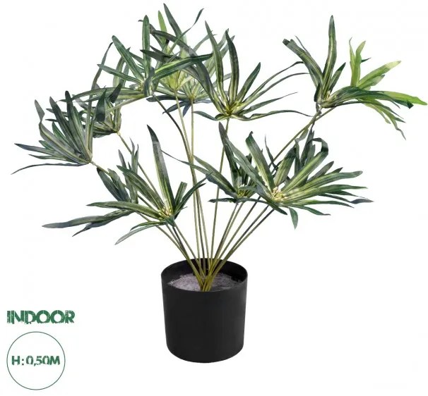 Artificial Garden BROADLEAF LADY PALM 20059 Τεχνητό Διακοσμητικό Φυτό Πλατύφυλλος Φοίνικας Μπαμπού Υ50cm  Globostar 20059 Πράσινο