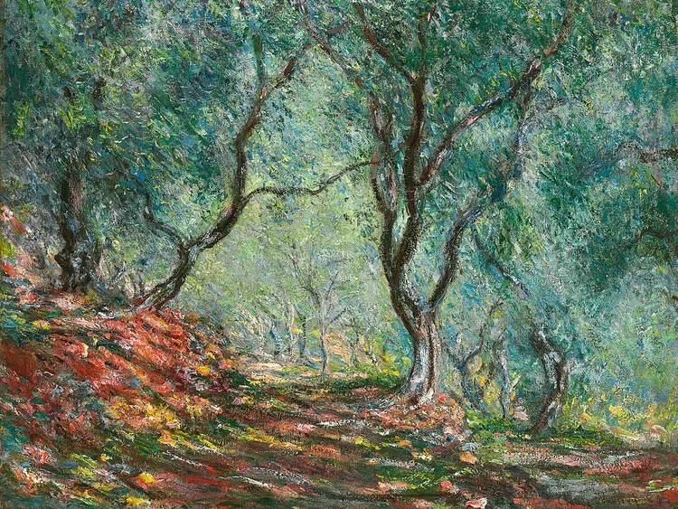 Αναπαραγωγή Olive Trees in the Moreno Garden (1884), Claude Monet