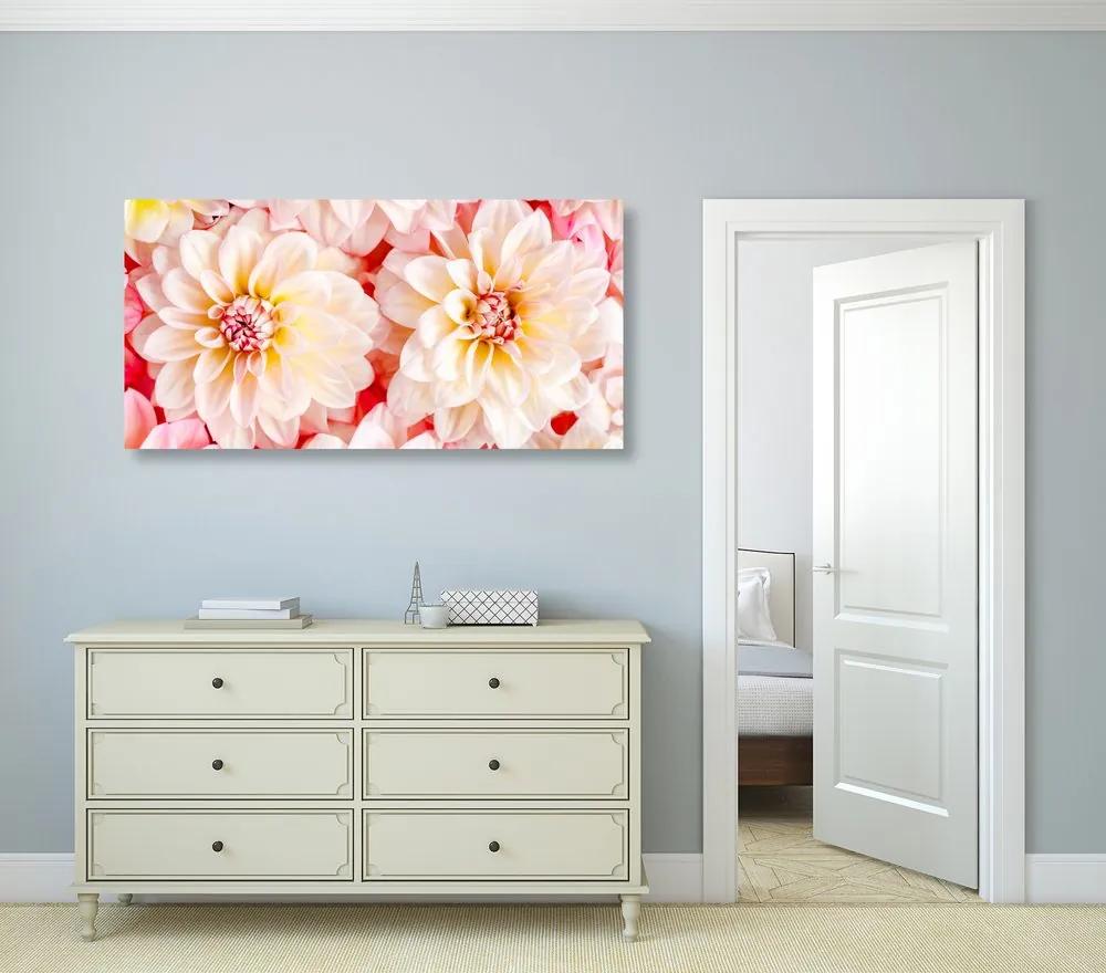 Εικόνα παστέλ λουλούδια ντάλια - 100x50
