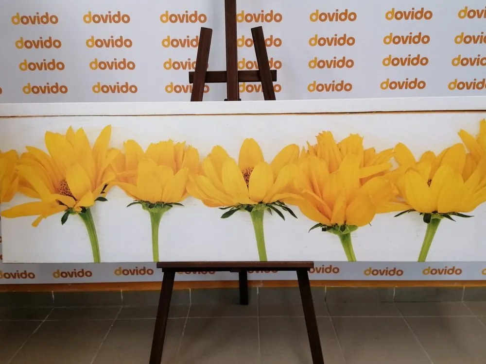 Εικόνα όμορφα κίτρινα λουλούδια - 150x50