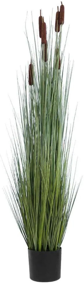 Τεχνητό Φυτό Typha Angustifolia Grass 20113 Φ50x150cm Brown-Green GloboStar PVC