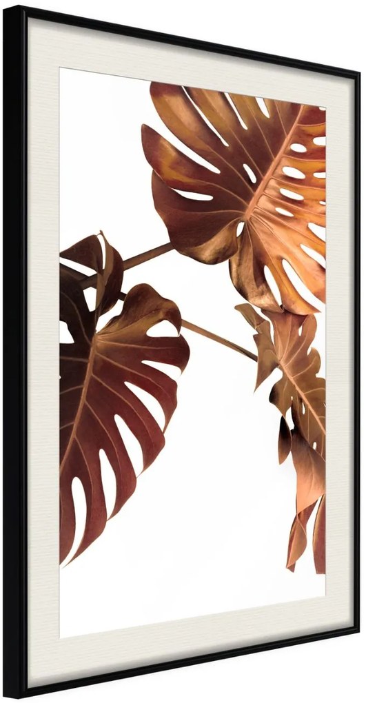 Αφίσα - Copper Monstera - 30x45 - Μαύρο - Με πασπαρτού