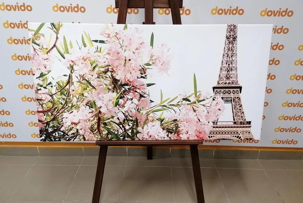 Εικόνα Πύργος του Άιφελ και ροζ λουλούδια - 100x50