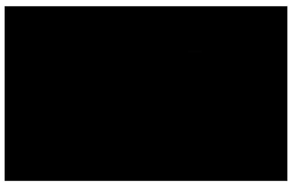Κάλυμμα Πισίνας Μαύρο 260 x 160 εκ. από Πολυαιθυλένιο - Μαύρο