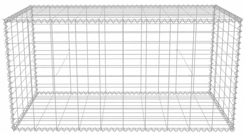 vidaXL Συρματοκιβώτιο 100 x 50 x 50 εκ. από Γαλβανισμένο Χάλυβα