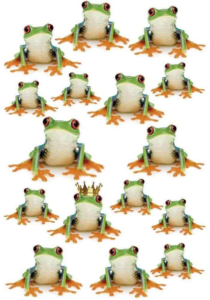 Διακοσμητικά Αυτοκόλλητα Frogs 1909 23x34cm Green Kleine Wolke Πλαστικό