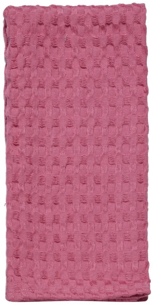 ΠΕΤΣΕΤΑ ΚΟΥΖΙΝΑΣ 40x60cm KENTIA - LAVARE 20