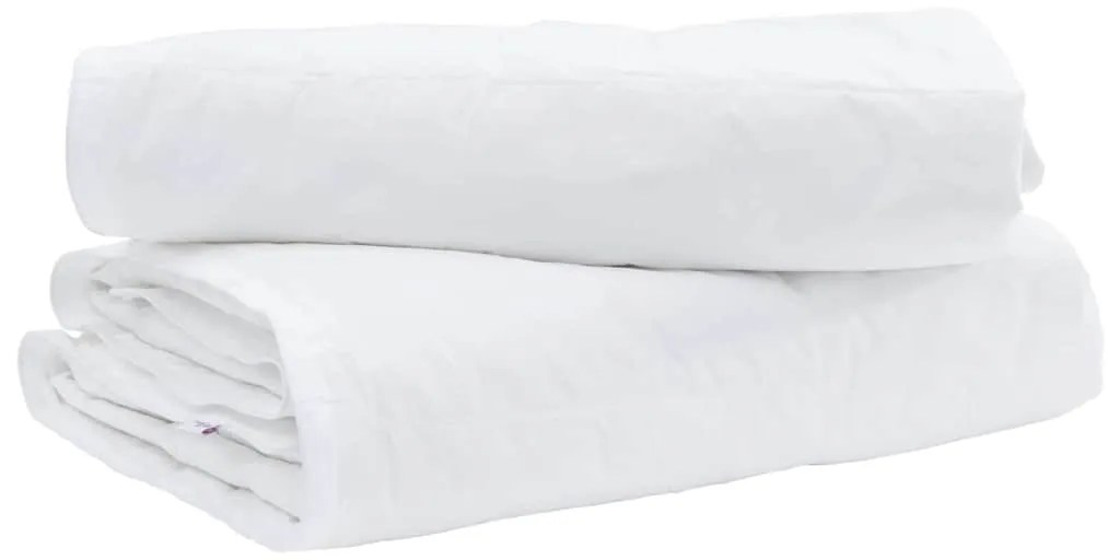 vidaXL Σετ Κουβέρτας με μαξιλάρι 2 pcs Λευκό 140 x 220 cm Πούπουλο