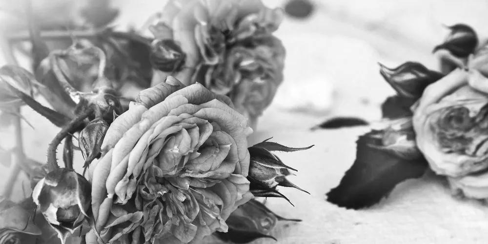 Εικόνα ανθισμένων τριαντάφυλλων σε μαύρο & άσπρο - 120x60