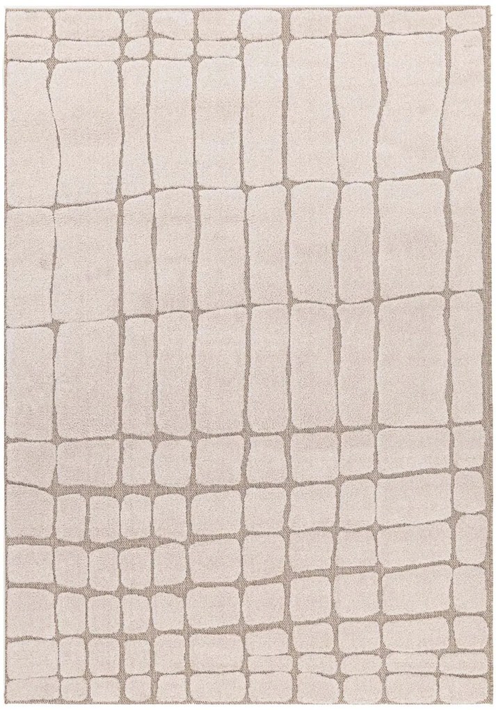 Χαλί Desert 40405 651 Beige Royal Carpet 200X290cm