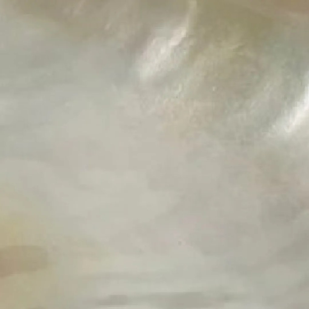 Fruit Plate S Line για χαβιάρι S4084-0091