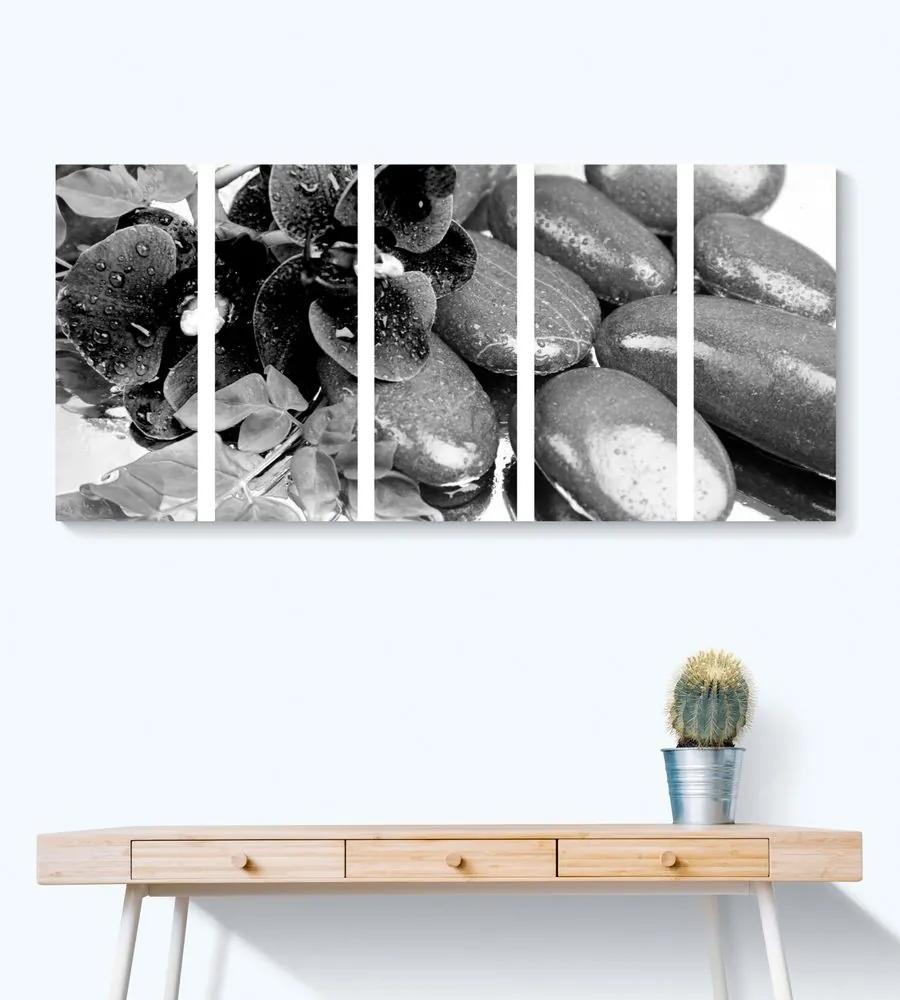 Εικόνα 5 τμημάτων ανθισμένης ορχιδέας και πέτρες ευεξίας σε μαύρο & άσπρο - 100x50