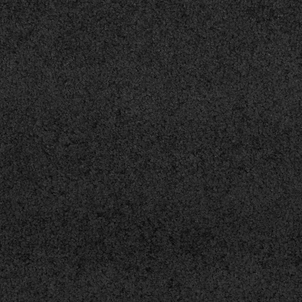 vidaXL Χαλάκι Εξώπορτας Άλλο Μαύρο 120 x 300 cm Πολυαμίδιο και PVC