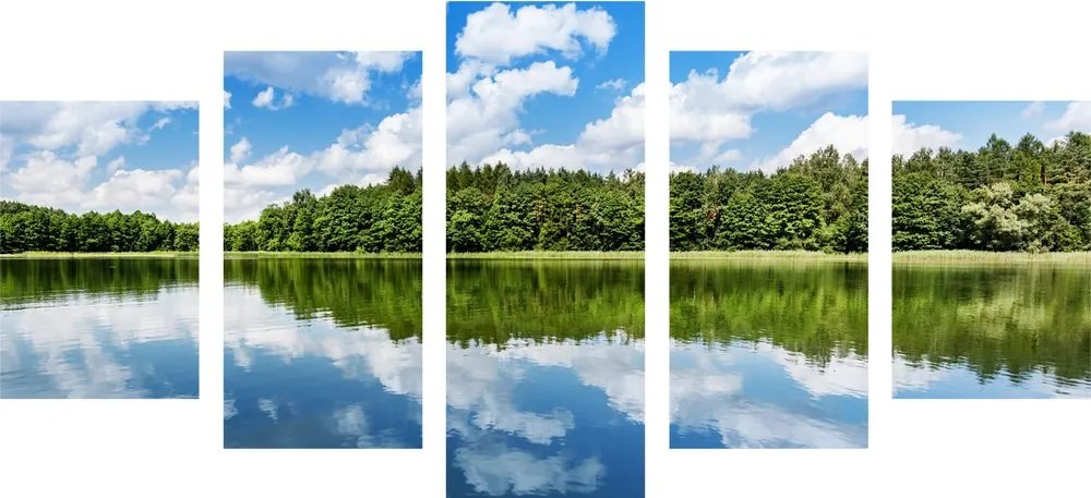 Εικόνα 5 μερών φύση το καλοκαίρι - 100x50