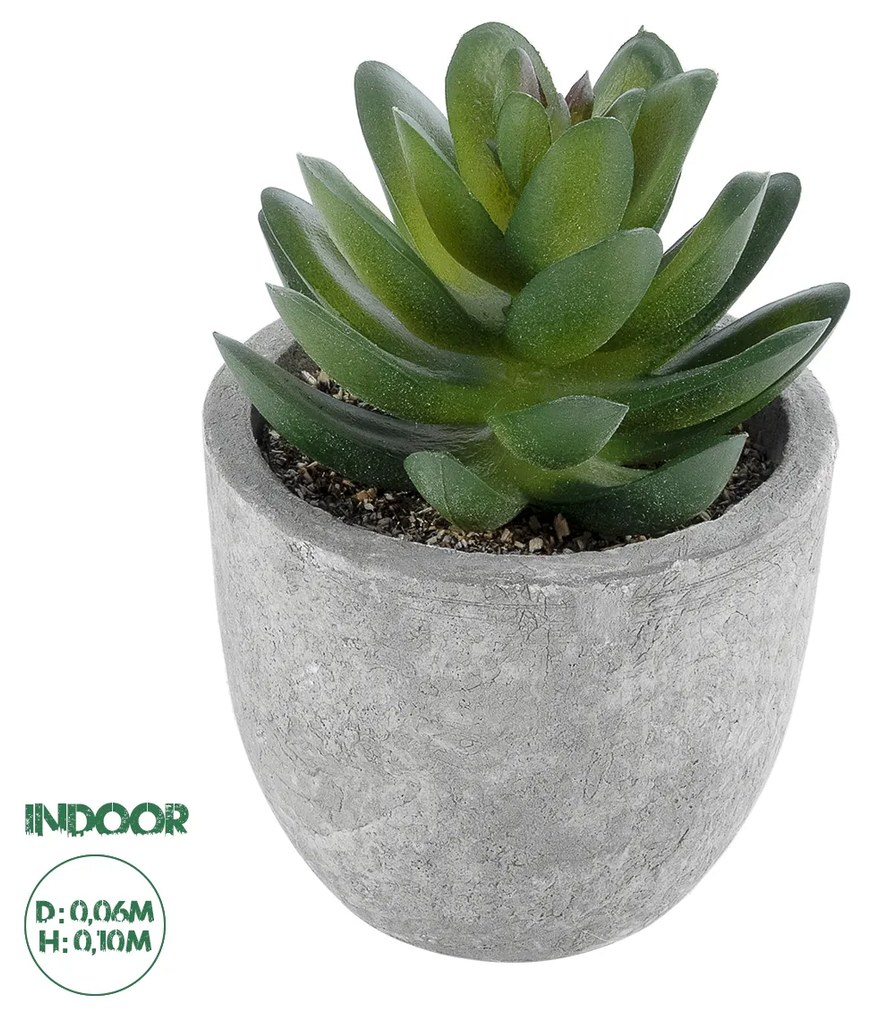 Artificial Garden SUCCULENT SEDEVERIA 21023 Διακοσμητικό Φυτό Παχύφυτο Σεντεβέρια Υ10cm