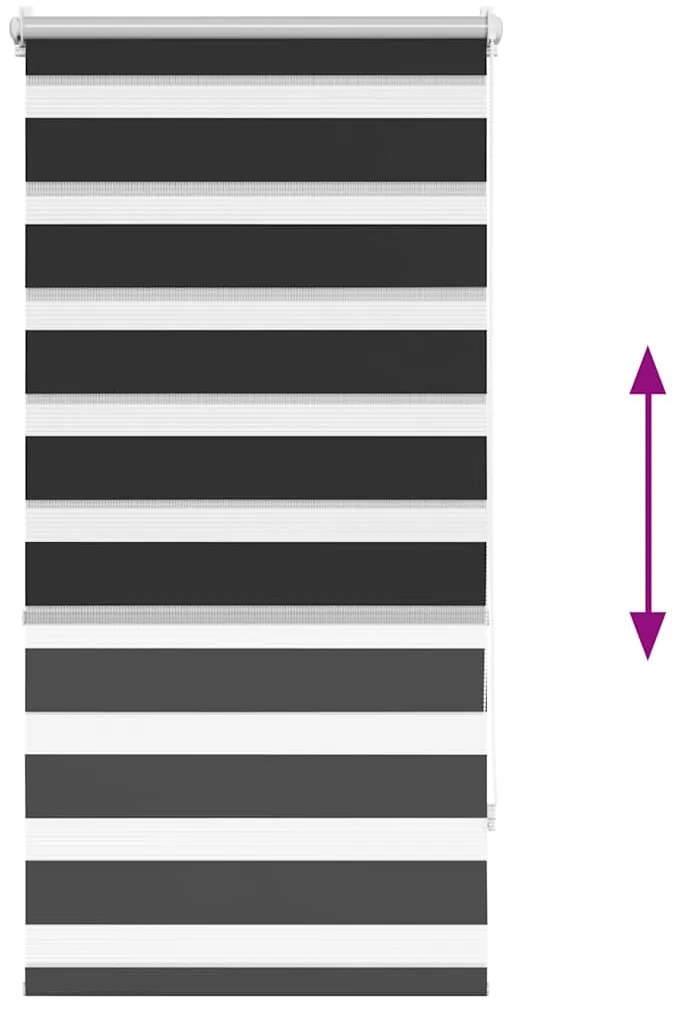 vidaXL Ρόλερ Zebra Μαύρο 60 x 120cm