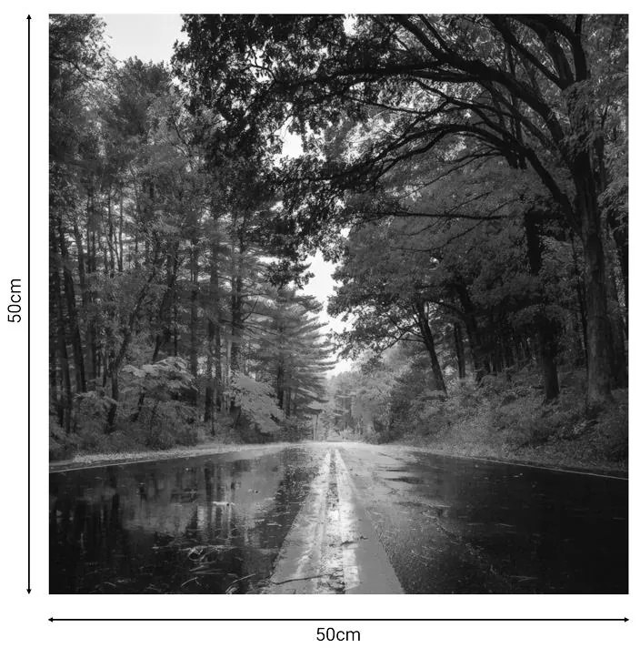 Πίνακας σε καμβά Savgone ψηφιακής εκτύπωσης 50x1.8x50εκ 50x1.8x50 εκ.