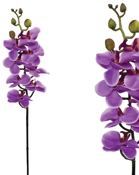 MarHome ΚΛΑΔΙ ΦΑΝΕΛΟΨ ΜΩΒ Υ76cm.12/144KIB  00-2520-3