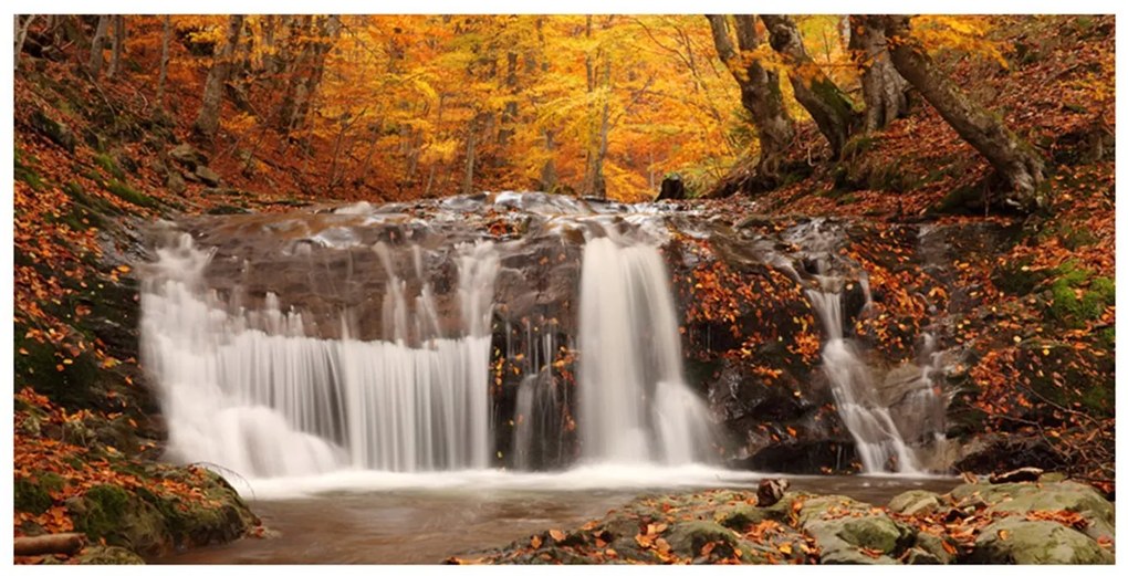 Ταπετσαρία XXL - Autumn landscape: waterfall in forest 550x270