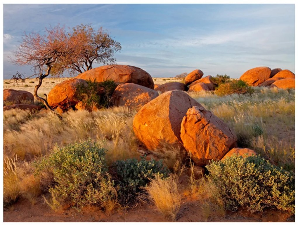 Φωτοταπετσαρία - African landscape, Namibia 200x154