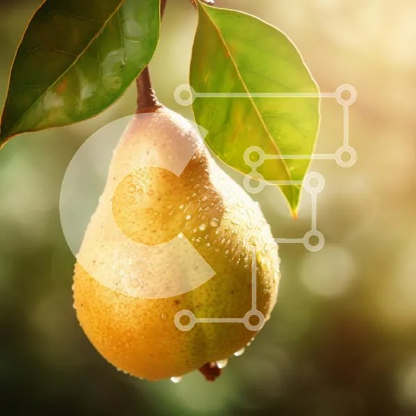 Σετ των 2 Intra Συλλεκτικό Ξύλινο Παζλ Plywood 4mm - Φρέσκο αχλάδι με φύλλα Σε Ξύλινο Κουτί - Διαστάσεις: 10x10 cm – 25 κομμάτια