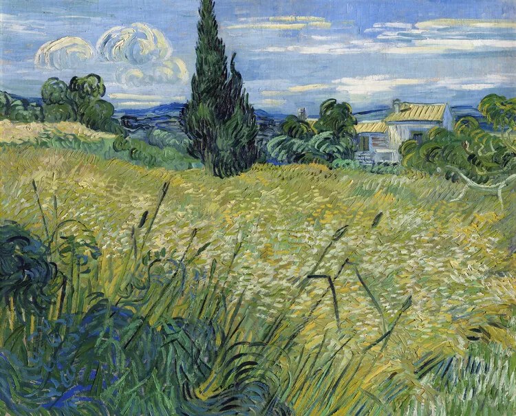 Αναπαραγωγή Green Wheat Field with Cypress (1889), Vincent van Gogh