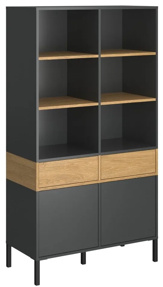 Ραφιέρα Beril 2D2S Ανθρακί-Χρυσό Δρυς 90x42x170cm