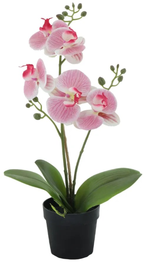 ORCHID 1 ΤΕΧΝΗΤΟ ΦΥΤΟ PE/PP PEVA ΡΟΖ ΠΡΑΣΙΝΟ H35cm - 022415 - 022415