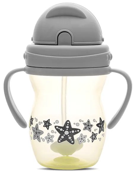 LORELLI ΚΥΠΕΛΛΟ ΜΕ ΚΑΛΑΜΑΚΙ ΚΑΙ ΛΑΒΕΣ 275ML YELLOW GREY 10230600006