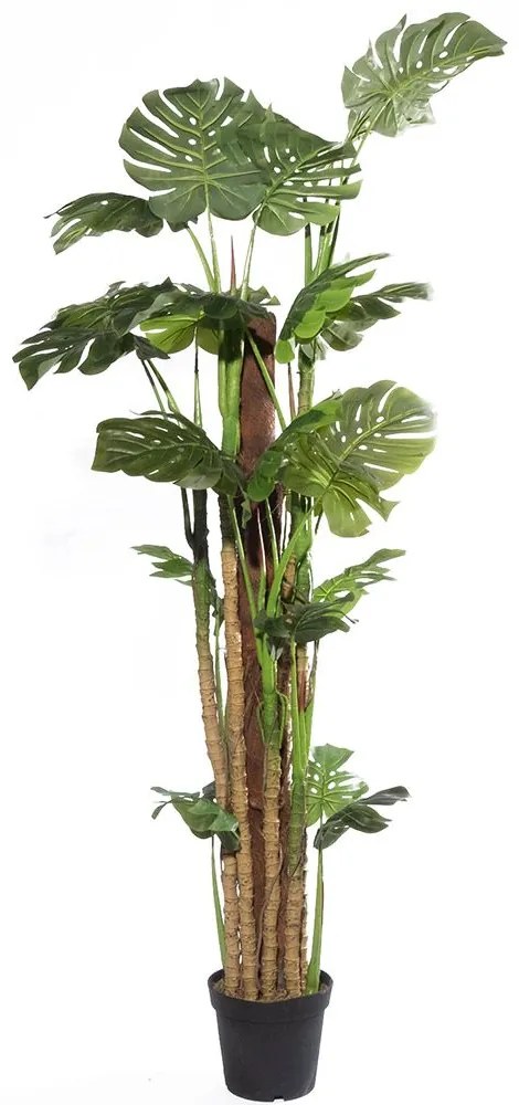 Τεχνητό Δέντρο Μονστέρα Bloom 0311-6 195cm Green Supergreens Πολυαιθυλένιο