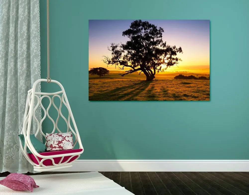 Εικόνα ενός μοναχικού δέντρου στο ηλιοβασίλεμα - 90x60