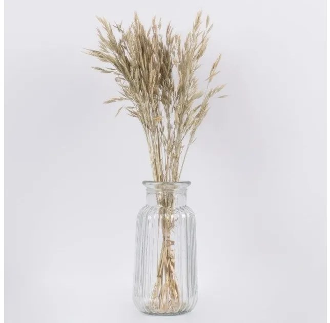 Αποξηραμένο Φυτό Σίτος WHEAT 36548 GloboStar-36548-Μπεζ 36548