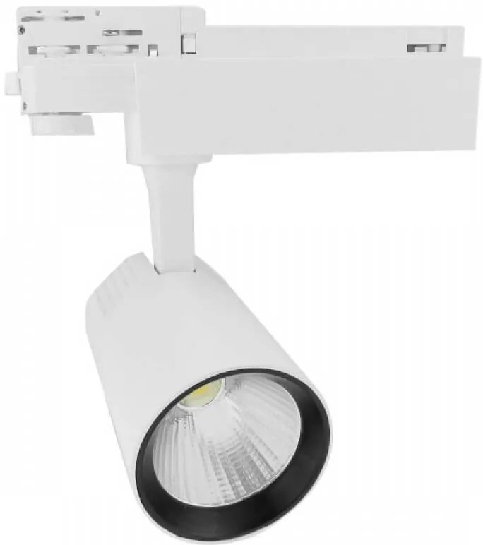 Σποτ ράγας Alleway LED-Leuko-20W