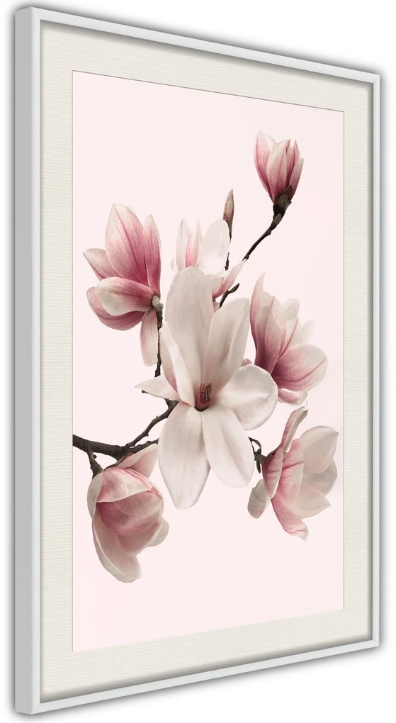 Αφίσα - Blooming Magnolias I - 20x30 - Χρυσό - Χωρίς πασπαρτού